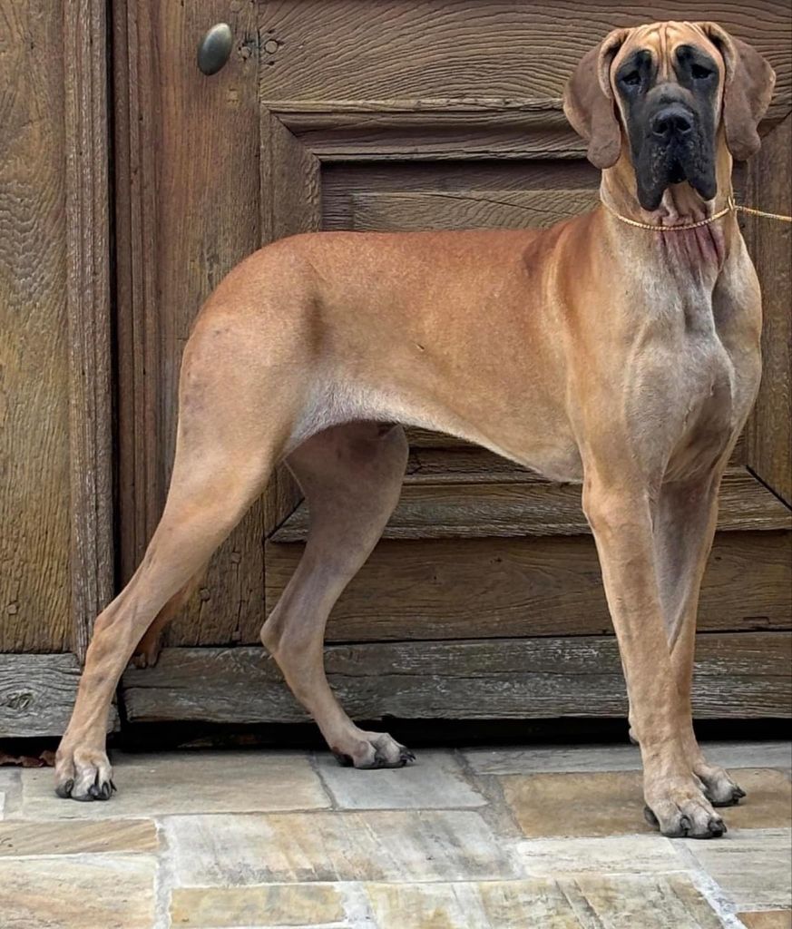 Utopia Au Royaume De Leyla